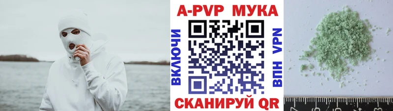 Купить закладки  Северобайкальск  Alpha PVP СК КРИС 