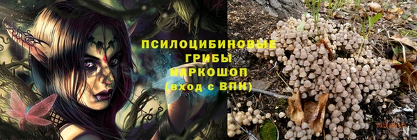 прущая мука Арсеньев